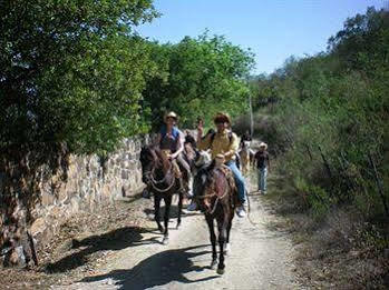 Eco Aventuras Santiago Hotel Santiago  Eksteriør billede